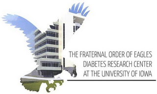 THE FRATERNAL ORDER OF EAGLES DIABETES RESEARCH CENTER AT THE UNIVERSITY OF IOWA logo