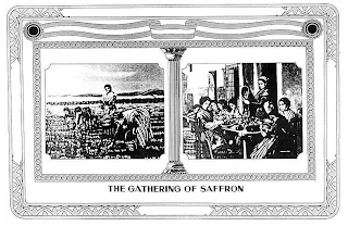 THE GATHERING OF SAFFRON logo