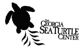 THE GEORGIA SEA TURTLE CENTER logo