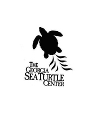 THE GEORGIA SEA TURTLE CENTER logo
