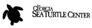 THE GEORGIA SEA TURTLE CENTER logo