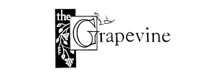 THE GRAPEVINE logo