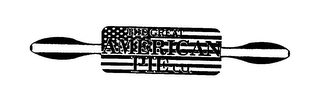 THE GREAT AMERICAN PIE CO. logo