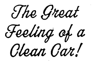 THE GREAT FEELING OF A CLEAN CAR! logo