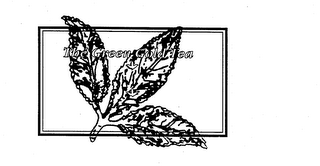 THE GREEN GOLD TEA logo