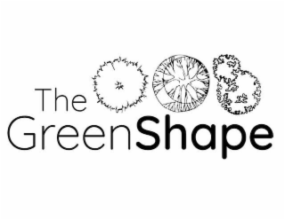 THE GREEN SHAPE logo
