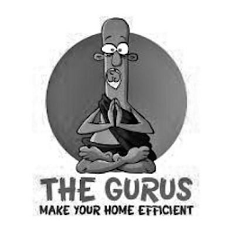 THE GURUS MAKE YOUR HOME EFFICIENT logo