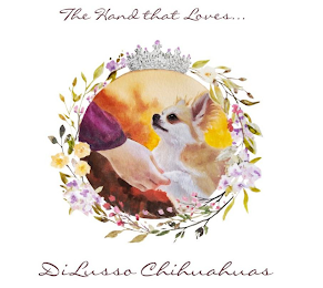 THE HAND THAT LOVES . . . DILUSSO CHIHUAHUAS logo