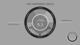THE HAPPINESS CIRCLE YOUR LIFE SCORE 5.3 CRYSTAL BALLS RUBBER BALLS CAREER LIFESTYLE PERSONAL GROWTH HEALTH RELATIONSHIPS FINANCE THE HAPPINESS CIRCLE logo