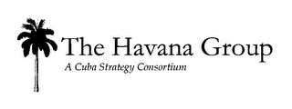 THE HAVANA GROUP A CUBA STRATEGY CONSORTIUM logo