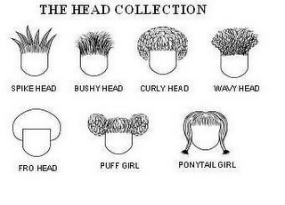 THE HEAD COLLECTION SPIKE HEAD BUSHY HEAD CURLY HEAD WAVY HEAD FRO HEAD PUFF GIRL PONYTAIL GIRL logo