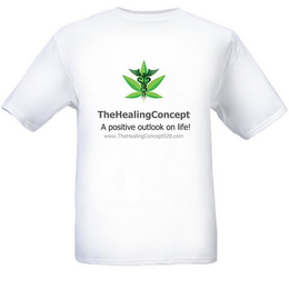 THE HEALING CONCEPT A POSITIVE FOCUS LEADS TO A POSITIVE YOU WWW.THEHEALINGCONCEPT928.COM logo
