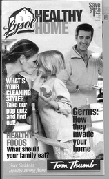 THE HEALTHY HOME logo