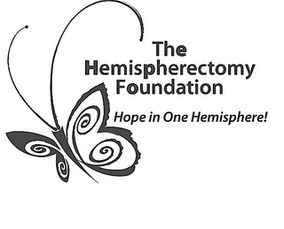 THE HEMISPHERECTOMY FOUNDATION HOPE IN ONE HEMISPHERE logo