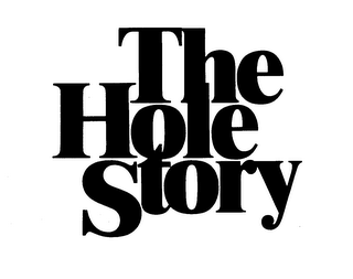 THE HOLE STORY logo