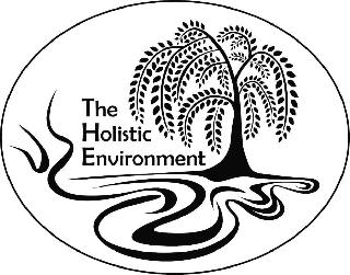 THE HOLISTIC ENVIRONMENT