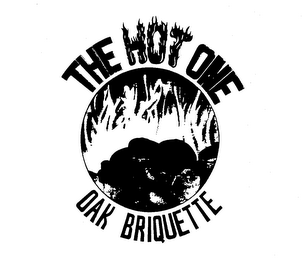 THE HOT ONE OAK BRIQUETTE
