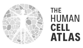 THE HUMAN CELL ATLAS logo