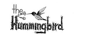 THE HUMMINGBIRD logo