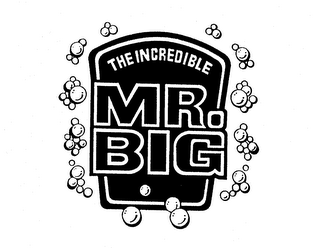THE INCREDIBLE MR. BIG logo