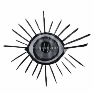 THE INSIGHT logo