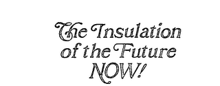 THE INSULATION OF THE FUTURE NOW! logo