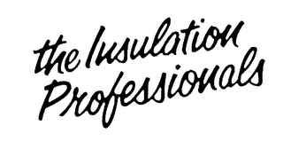 THE INSULATION PROFESSIONALS logo