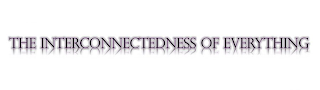 THE INTERCONNECTEDNESS OF EVERYTHING logo