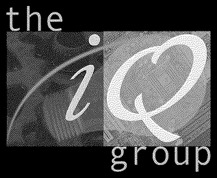 THE IQ GROUP logo