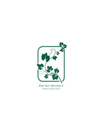 THE IVY DISTRICT AMERICA MODERN GREEN logo