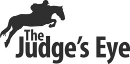 THE JUDGE'S EYE logo