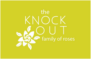 THE KNOCK OUT FAMILY OF ROSES logo