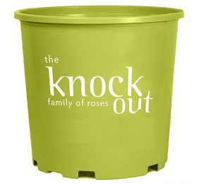 THE KNOCK OUT FAMILY OF ROSES logo