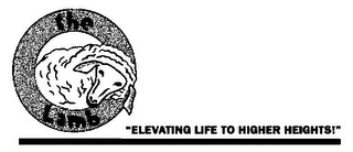 THE LAMB "ELEVATING LIFE TO HIGHER HEIGHTS!" logo