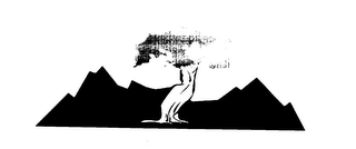 THE LEARNING CAMP logo