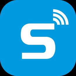 THE LETTER "S" logo