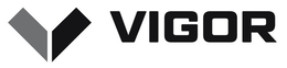 THE LETTER V AND THE WORD VIGOR