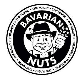 THE MAGIC THE MAGIC THE MAGIC THE MAGIC THE MAGIC THE MAGIC THE MAGIC THE MAGIC THE MAGIC THE MAGIC BAVARIAN NUTS logo