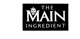 THE MAIN INGREDIENT logo
