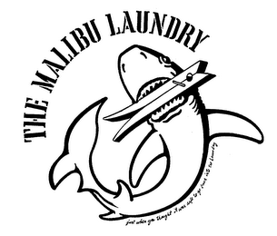 THE MALIBU LAUNDRY JUST WHEN YOU THOUGHT IT WAS SAFE TO GO BACK INTO THE LAUNDRY logo