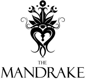 THE MANDRAKE logo