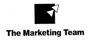 THE MARKETING TEAM logo