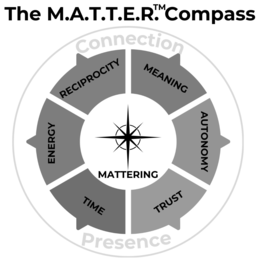 THE M.A.T.T.E.R. COMPASS MATTERING MEANING AUTONOMY TRUST TIME ENERGY RECIPROCITY CONNECTION PRESENCE logo