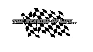THE MEANING OF LIFE... logo