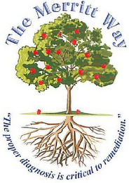 THE MERRITT WAY "THE PROPER DIAGNOSIS IS CRITICAL TO REMEDIATION." logo