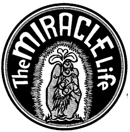 THE MIRACLE LIFE logo
