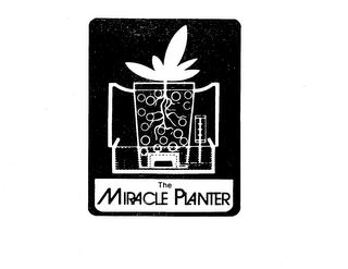 THE MIRACLE PLANTER logo