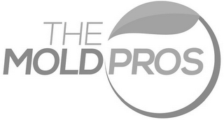 THE MOLD PROS logo