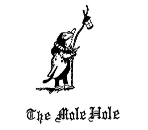 THE MOLE HOLE logo