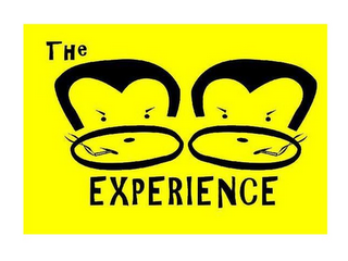 THE MOMO EXPERIENCE logo